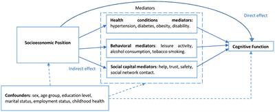 The path between socioeconomic inequality and cognitive function: A mediation analysis based on the HAALSI cohort in rural South Africa